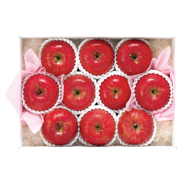 ct[c XY Tӂy͂ԁF11{`z